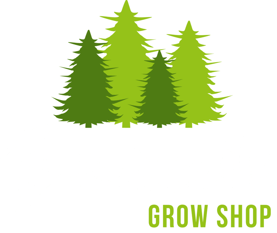 Bosquecito